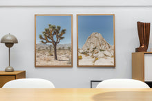 Load image into Gallery viewer, Wayne Ford Studio Photography Print Joshua Tree Rock Formation
