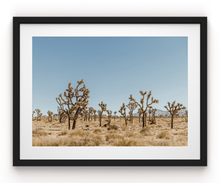 Load image into Gallery viewer, Wayne Ford Studio Photography Print Joshua Tree V
