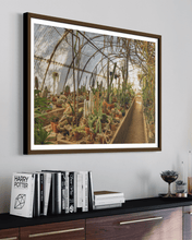 Load image into Gallery viewer, Wayne Ford Studio Photography Print Mortons Cactorium
