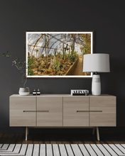 Load image into Gallery viewer, Wayne Ford Studio Photography Print Mortons Cactorium
