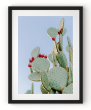 Load image into Gallery viewer, Wayne Ford Studio Photography Print Prickly Pear III
