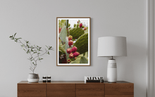 Load image into Gallery viewer, Wayne Ford Studio Photography Print Prickly Pear V
