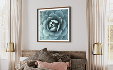 Load image into Gallery viewer, Wayne Ford Studio Photography Print Succulent Square
